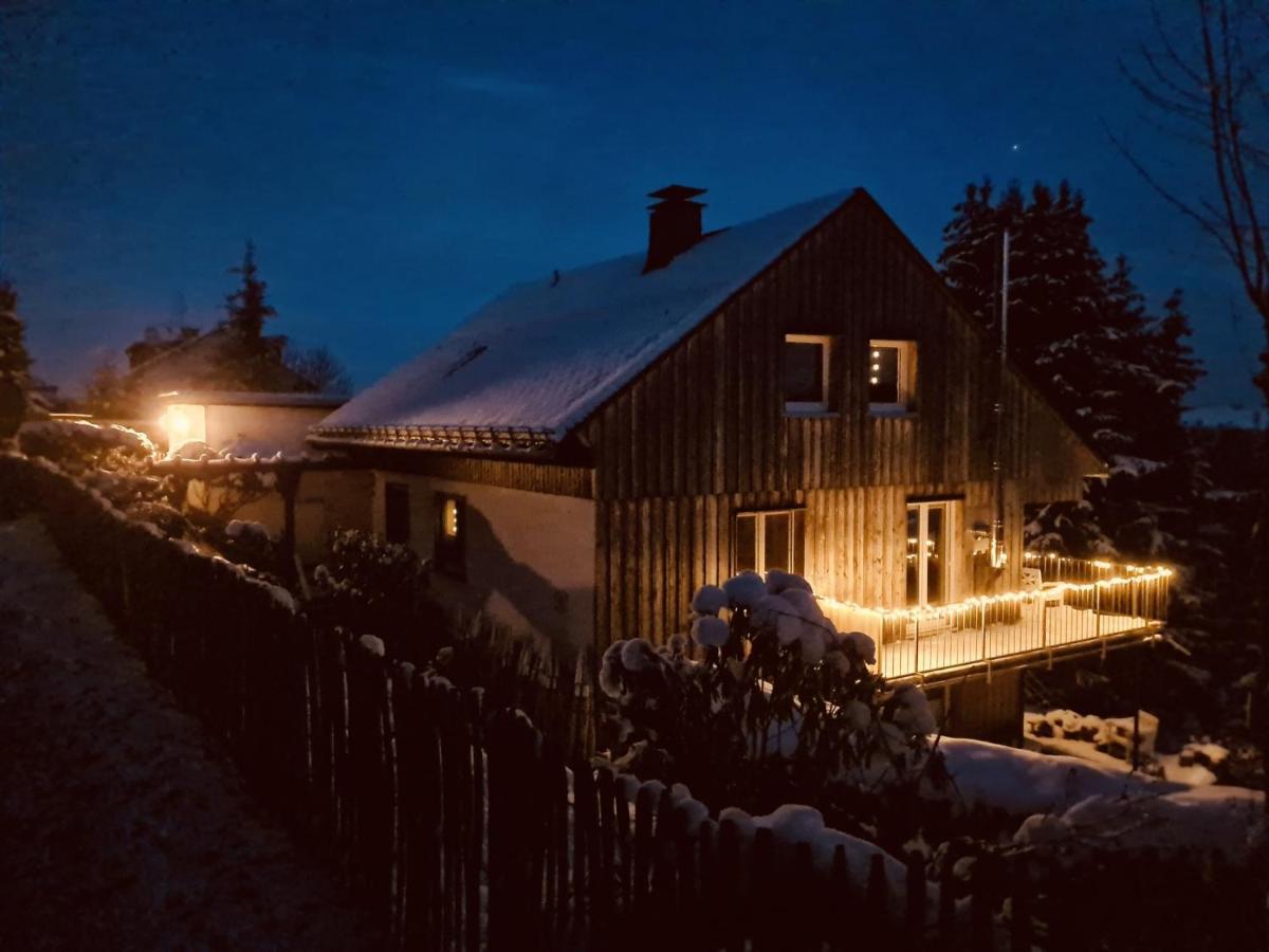 Waldapart Willingen Виллинген Экстерьер фото