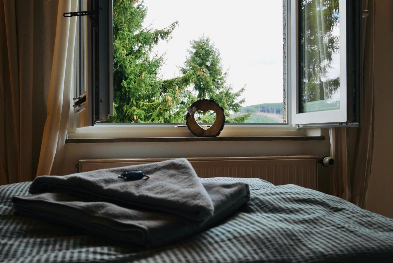 Waldapart Willingen Виллинген Экстерьер фото
